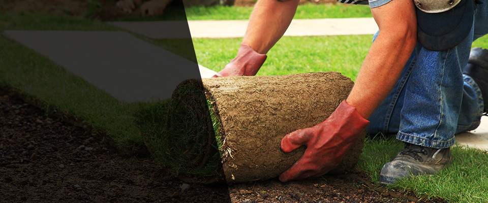 New Vienna Landscapers